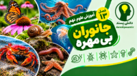 پاورپوینت فصل 13 علوم نهم جانوران بی مهره