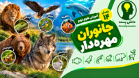 پاورپوینت فصل 14 علوم نهم جانوران مهره دار