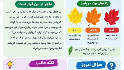 چرا رنگ درختان در پائیز عوض می شوند ؟