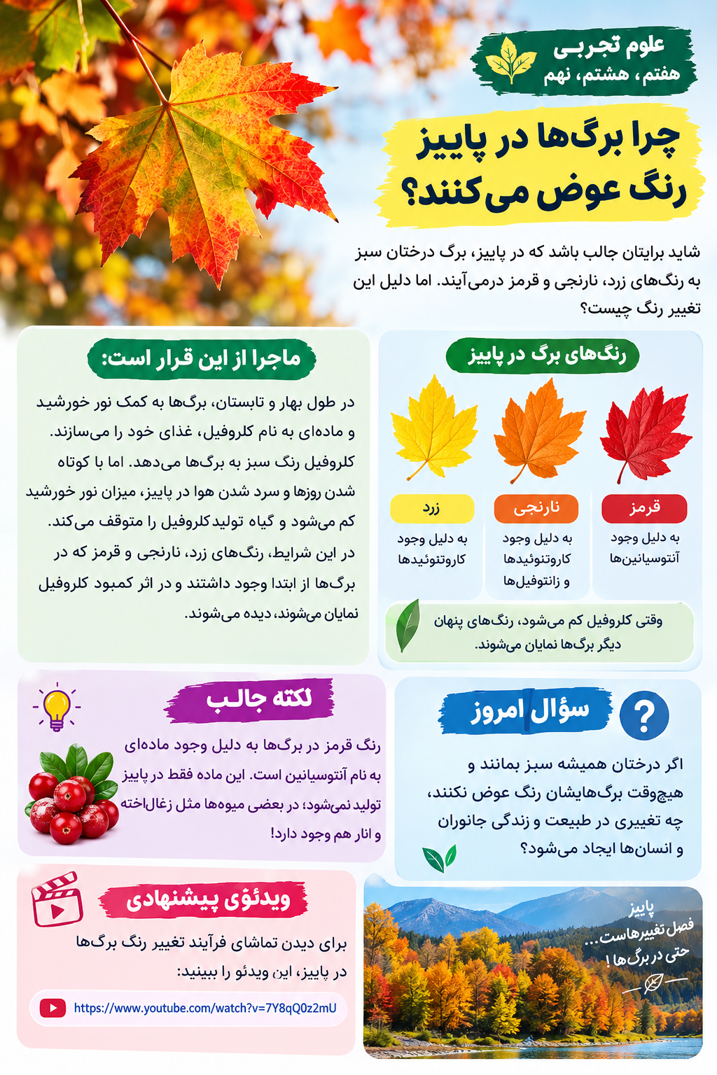 چرا رنگ درختان در پائیز عوض می شوند ؟
